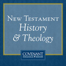 New Testament History & Theology by David Chapman
