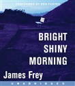 Bright Shiny Morning by James Frey
