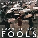 Fools: Stories by Joan Silber