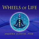 Wheels of Life: A User's Guide to the Chakra System by Anodea Judith