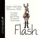 Flash: The Homeless Donkey Who Taught Me about Life, Faith, and Second Chances by Rachel Anne Ridge