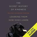 The Secret History of Kindness by Melissa Holbrook Pierson