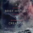A Brief History of Creation by Bill Mesler