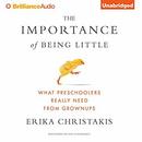The Importance of Being Little by Erika Christakis