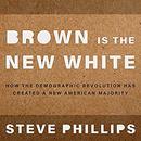 Brown Is the New White by Steven Phillips