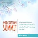 The Meditation Summit: Volume 2 by Tara Brach