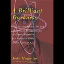 A Brilliant Darkness by Joao Magueijo
