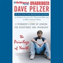 The Privilege of Youth by Dave Pelzer