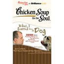 Chicken Soup for the Soul: What I Learned from the Dog - 36 Stories about Perspective, Kindness, and Unconditional Love by Jack Canfield