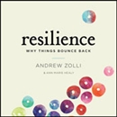Resilience: Why Things Bounce Back by Andrew Zolli