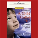 A Child Called 'It': One Child's Courage to Survive by David Pelzer