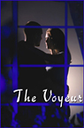 The Voyeur by Donald Katz