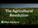 Crash Course: World History Playlist by John Green