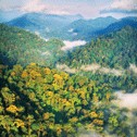 Earth at the Crossroads: Understanding the Ecology of a Changing Planet by Eric G. Strauss