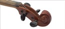 String Quartets of Beethoven by Robert Greenberg