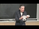 Cellular Solids: Structure, Properties, and Applications by Lorna Gibson
