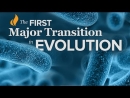 Single-Celled Life: Prokaryotes to Eukaryotes by Anthony Martin