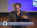 Neurobiology, Neurology, and Art and Aesthetics by V.S. Ramachandran