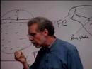 Daniel Goleman on Social Intelligence by Daniel Goleman