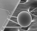 Physics for the 21st Century