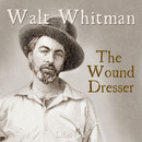 The Wound Dresser by Walt Whitman