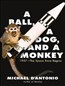 A Ball, a Dog, and a Monkey