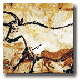 Biological Anthropology