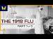 The 1918 Spanish Flu
