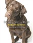 Inside of a Dog: What Dogs See, Smell, and Know