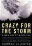 Crazy for the Storm