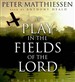 At Play in the Fields of the Lord