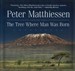 The Tree Where Man Was Born