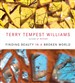 Finding Beauty in a Broken World
