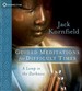 Guided Meditations for Difficult Times