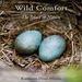 Wild Comfort: The Solace of Nature