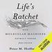 Life's Ratchet: How Molecular Machines Extract Order from Chaos