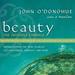 Beauty: The Invisible Embrace