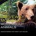 NPR Driveway Moments: More About Animals