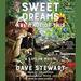 Sweet Dreams Are Made of This