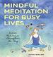 Mindful Meditation for Busy Lives