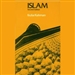Islam and Modernity: Transformation of an Intellectual Tradition
