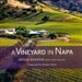 A Vineyard in Napa
