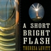 A Short Bright Flash