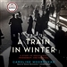 A Train in Winter