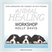 Animal Healing Workshop