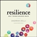 Resilience: Why Things Bounce Back