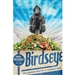Birdseye: The Adventures of a Curious Man