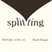Splitting: Protecting Yourself While Divorcing Someone with Borderline or Narcissistic Personality Disorder
