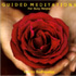 Guided Meditations for Busy People
