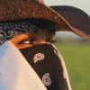 Rape in the Fields